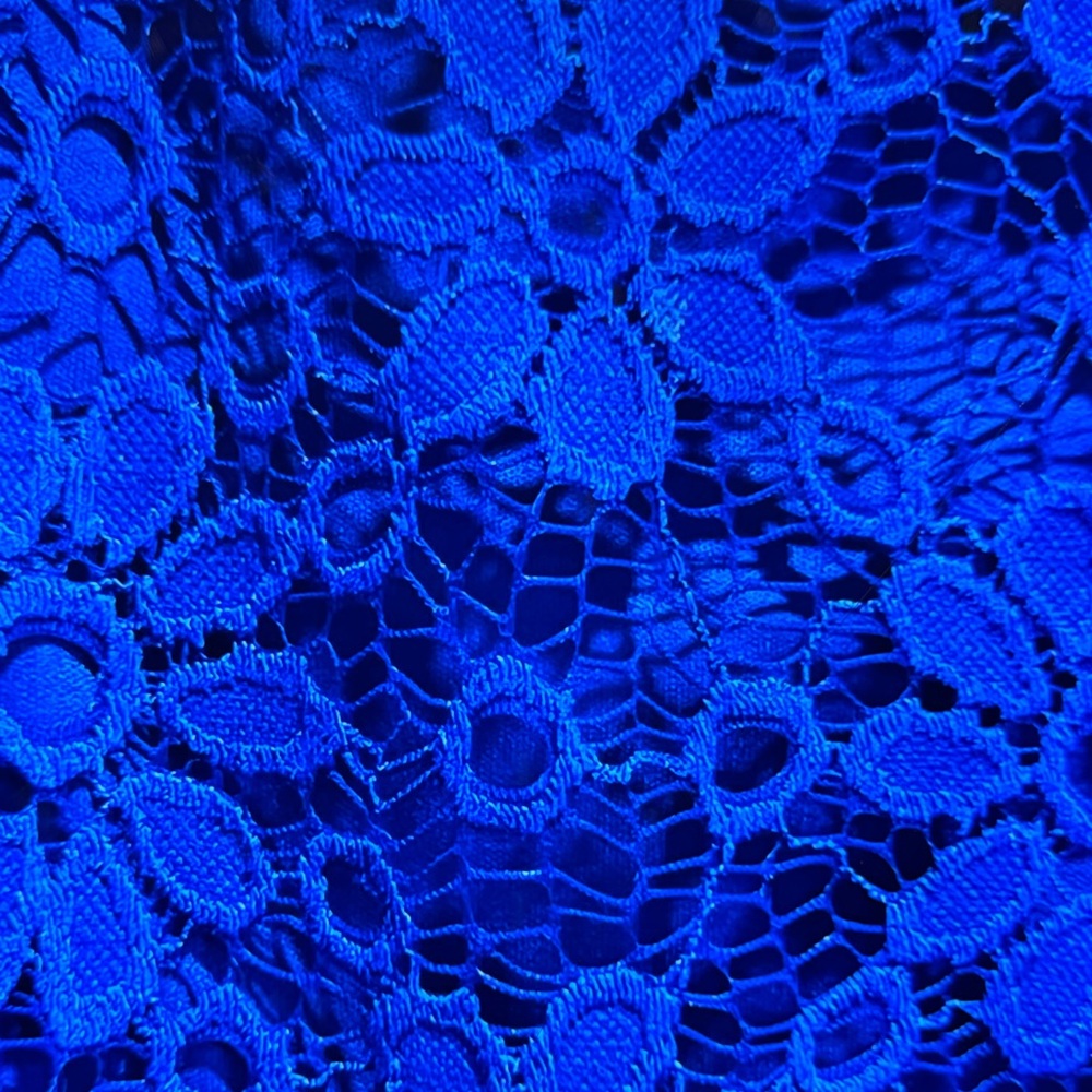Rabbit Rabbit Rabbit Royal Blue Lace Dress - Picture 2 of 6